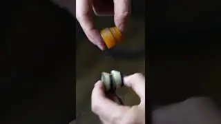 Guide to Skateboard Bushings Pt. 1 #skateboarding