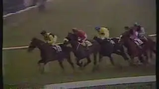 1984 Tote Placepot 4-y-o Hurdle - Kempton 25-02-1984