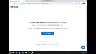 ZOOM AUDIO IS NOT WORKING FIX WINDOWS 10