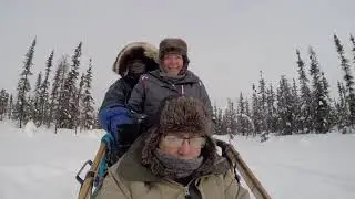 Dogsledding at Paws of Adventure