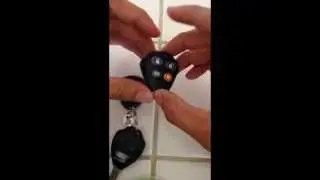 Viper Alarm Review