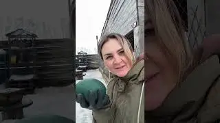 Яйцо эму уникальный продукт!