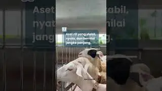 Aset rill yang stabil, nyata, dan bernilai jangka panjang