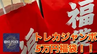 【ワンピカード】トレカジャンボ秋葉原店/5万円福袋!/開店前、長蛇の列の先に見えるもの
