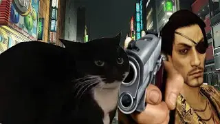memes I gathered last couple of weeks 5