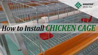 How to Install Chicken Cage-Step 3: water line and feeder trough