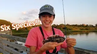 Inshore saltwater fishing around Chatham Cape Cod!! (Multispecies)