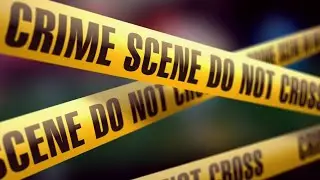 'No one is addressing the real issue' on crime | ABC 24 This Week