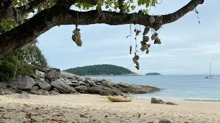 Phuket Today December 2020 | Nai Harn Lake | Nai Harn Beach | Ao Sane Beach
