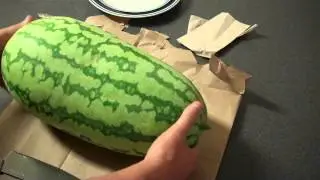 Jubilee watermelon harvest 7-21-15