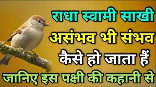 राधा स्वामी साखी। असंभव भी संभव कैसे हो जाता है जानिए इस पक्षी की कहानी से।