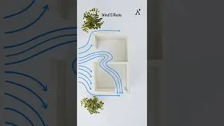 How House Openings Shape Indoor Wind Flow