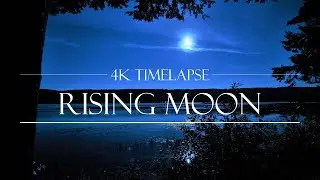 Full Moon gazing (night sky time lapse) | 4K UHD