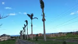 Посмотрите на дома в Plantation Village!