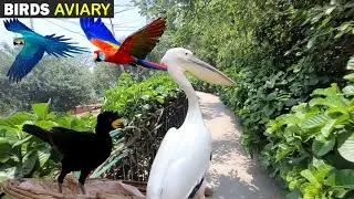 LARGEST BIRDS AVIARY || LAKE VIEW PARK || ISLAMABAD || Vlog - 22