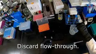 CBCH 4414 Lab - FASP Protein Digestion