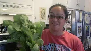 Shedwars: A Radish Lesson and a Small Harvest