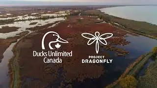 Project Dragonfly