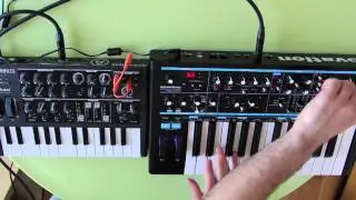 Arturia MicroBrute VS Novation Bass Station II