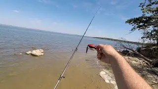 Disaster! 4 Lures Lost in 3 Spots! Hula Popper Still Catching Fish!