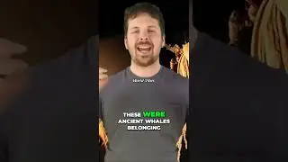 Whale City Fossil: Uncovering the Ancient Archaeoceti with Hind Legs and Toes