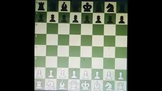 3 Check