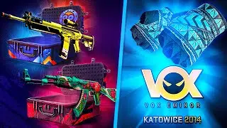 I PULLED THE VOX STICKER!? (Datdrop Highrolling)