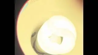 Maxlite CFL