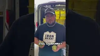 The art of making Chardonnay wine with Seven Mountain Wine Cellars