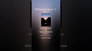 [TR] Tohum mu Ağaç mı – Norberto Bobbio'dan İlhamla (Folk, V1.0)