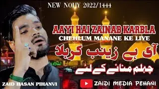 New Nohey 2022 | Aayi Hai Zainab Karbala | Zaid Hasan Pihanvi 2022