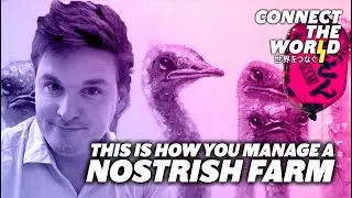 King of free speech Nostr Damus | William Casarin