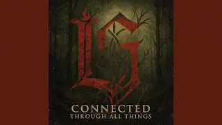 Connected Through All Things