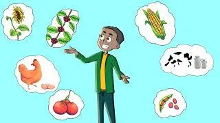 Green Challenge Fund Animation