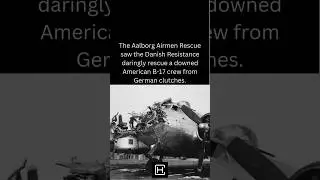 The Danish Resistance SAVED US Airmen From Mortal Peril