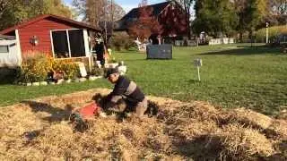 Elliot and Papa Playing in the Hay Pile, Riding on Tractors