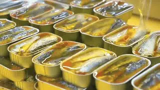 Le secret derri&egrave;re des milliards de bo&icirc;tes: comment les sardines sont produites &agrave; l'&eacute;chelle mondiale