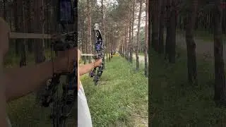Archery season archery gear shooting🎯 #archeryseason #archerygear #archerymaster #archerytips