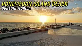 Honeymoon Island Beach Is HIDDEN Gem