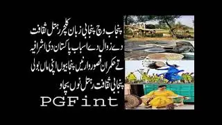 The War on Punjabi Culture Saving the Punjabi Language: A Fight Against Cultural Erosion