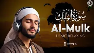 Surah Al-Mulk سورة الملك | Most Beautiful Relaxing Calming Voice | بركة Blessing
