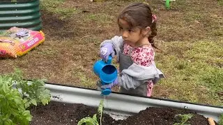 Ready, Set, Grow at Lemon City Child Learning Center