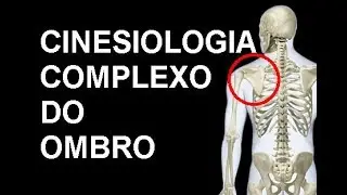 Cinesiologia dos membros superiores parte I (complexo do ombro)
