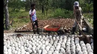 Vallecito: LA OFRANEH y su contribuci&oacute;n en la lucha contra el hambre en Honduras