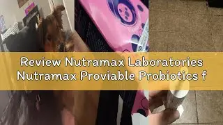 Review Nutramax Laboratories Nutramax Proviable Probiotics for Dogs, Diarrhea Support Kit, Digestive