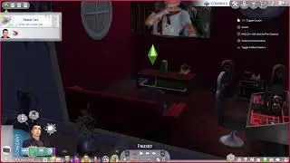 The Sims 4 🌍