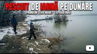 Pescuit pe Dunăre. In căutarea șalăilor de iarna
