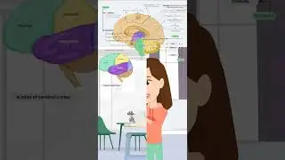 NCERT Mapped Biology NEET #  | Sona Singh