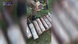 Arsenał pod Wąbrzeźnem zlikwidowany przez policjant&oacute;w - KWP Bydgoszcz