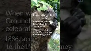 When and why did Groundhog Day start?